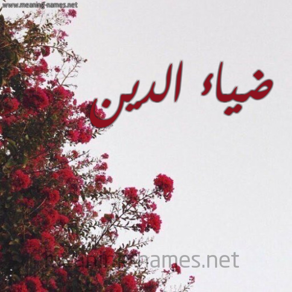 شكل 18 صوره الورد الأحمر للإسم بخط رقعة صورة اسم ضياء الدين Diaa-Aldine